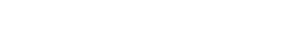 logo demian licht@1000x